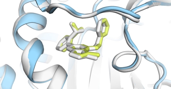 A close up view of detail from a computer render of a PI5P4Kγ protein diagram.